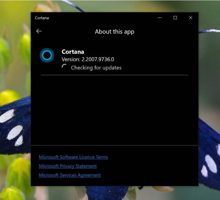 微軟 Cortana App 可繞過 Windows 10 應(yīng)用商店更新
