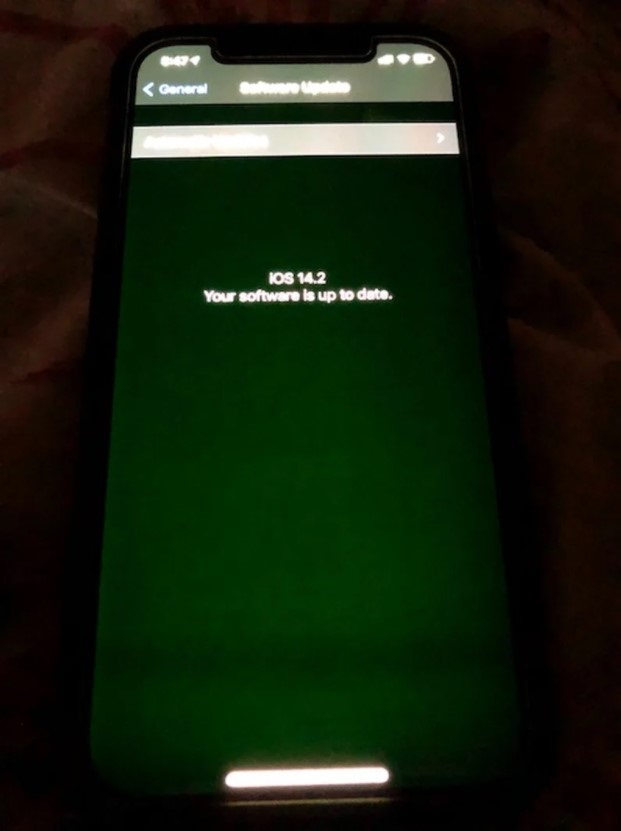 蘋果承認(rèn) iPhone 12 系列部分機(jī)型存 “綠屏”等問題，正進(jìn)行調(diào)查