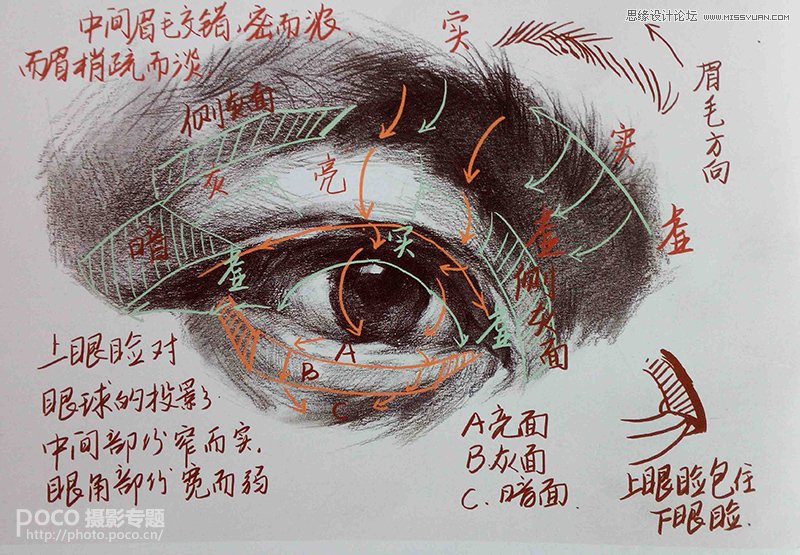 教你用ps如何加強臉部結(jié)構(gòu)打造立體感人像