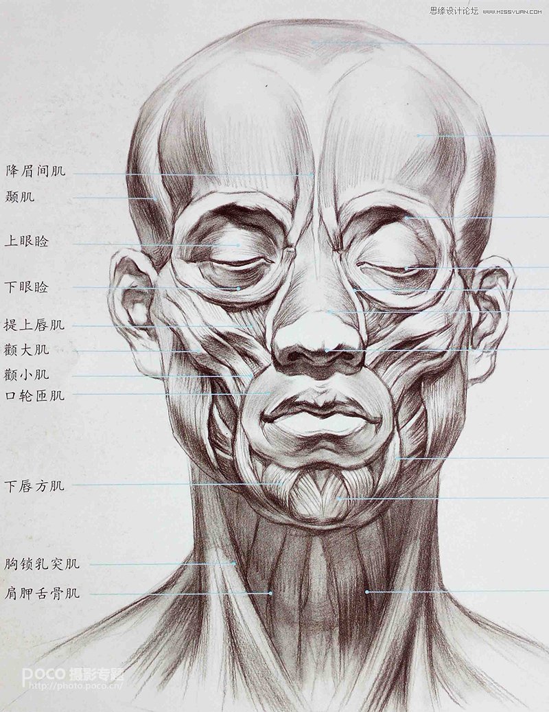 教你用ps如何加強臉部結(jié)構(gòu)打造立體感人像