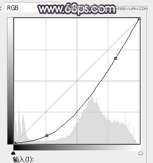 ps調(diào)出林中美女照片暗色逆光效果圖