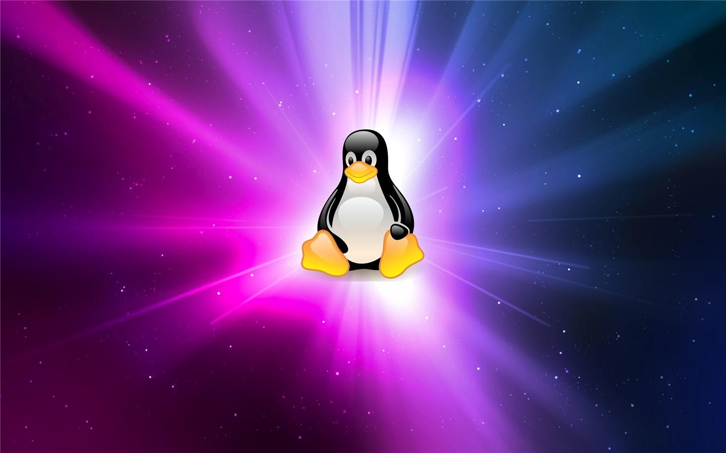 Ubuntu 發(fā)現(xiàn)內(nèi)核回歸系統(tǒng)崩潰漏洞，需盡快升級