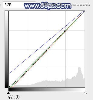 ps調(diào)出外景新娘照片唯美逆光效果