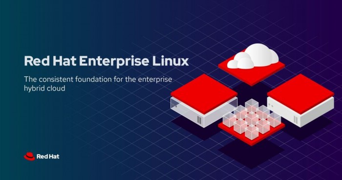RHEL 8.3穩(wěn)定版發(fā)布:默認禁用TSX 引入諸多新驅(qū)動