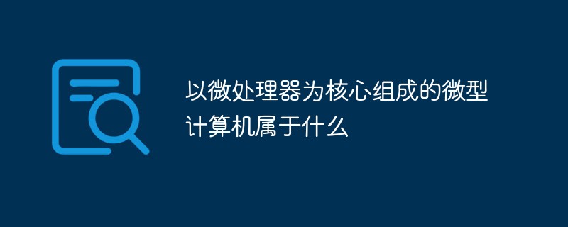 以微處理器為核心組成的微型計算機屬于什么
