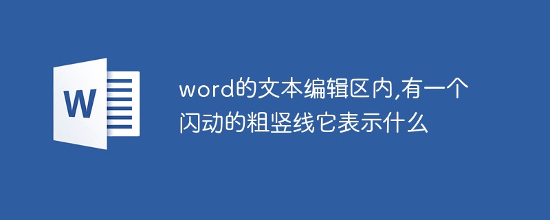 word的文本編輯區(qū)內(nèi),有一個閃動的粗豎線它表示什么