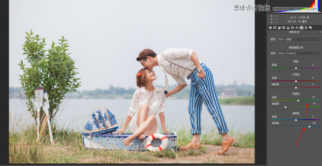ps調(diào)出外景婚紗照片韓式清新效果
