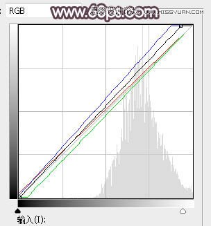PS調(diào)出外景人像甜美逆光藝術(shù)效果