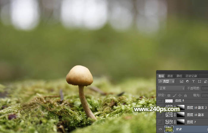 用PS合成坐在蘑菇上的可愛小天使場景