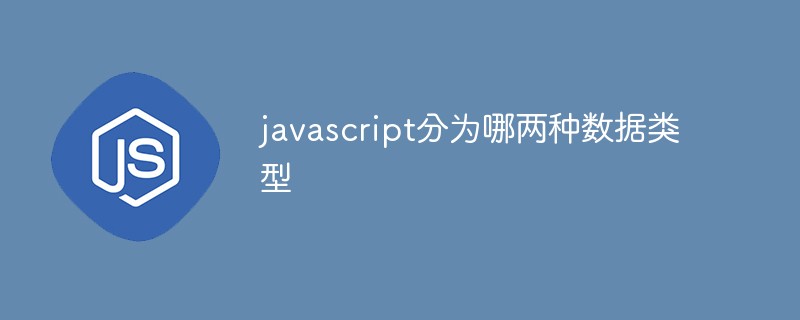 javascript分為哪兩種數(shù)據(jù)類(lèi)型