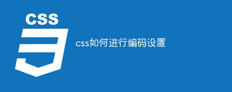 css如何進(jìn)行編碼設(shè)置