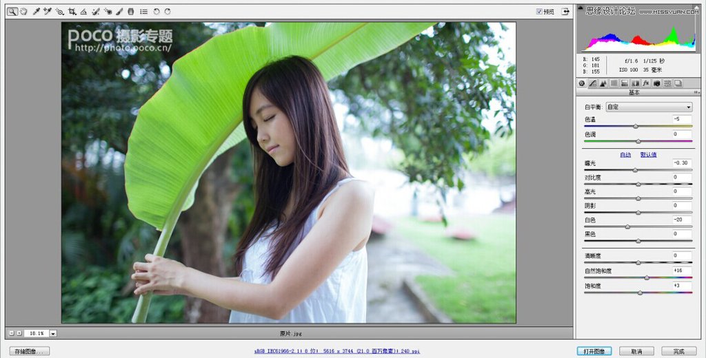 PS調(diào)出美女人像小清新效果圖
