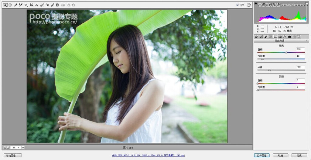 PS調(diào)出美女人像小清新效果圖