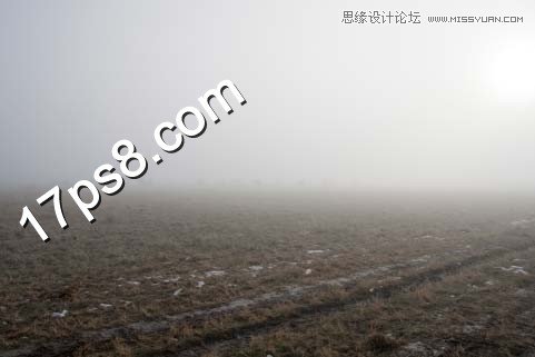 PS合成在野外成長(zhǎng)的枯樹(shù)場(chǎng)景