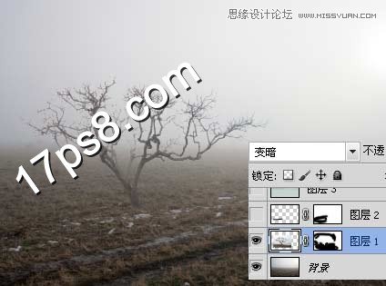 PS合成在野外成長(zhǎng)的枯樹(shù)場(chǎng)景