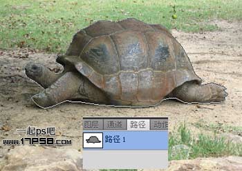 PS打造公益性質(zhì)的生態(tài)保護海報