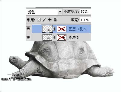 PS打造公益性質(zhì)的生態(tài)保護海報