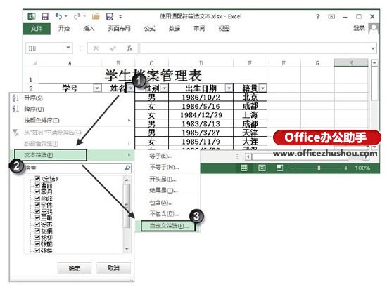 excel表格文本篩選 Excel表格中使用通配符篩選文本的方法
