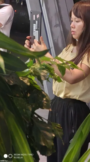 realme Pad 平板電腦真機照泄露:純平中框設(shè)計