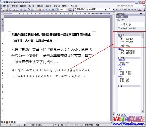 word字體格式 教你一眼就能辨認(rèn)出Word2003文檔某處字體的格式