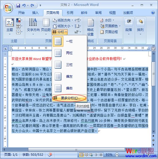 設(shè)置分欄效果 Word2007設(shè)置分欄效果不求人！