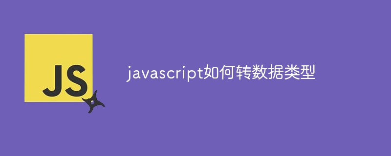 javascript如何轉(zhuǎn)數(shù)據(jù)類型