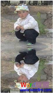圖片倒影 在Word2007文檔里設(shè)置圖片倒影的效果