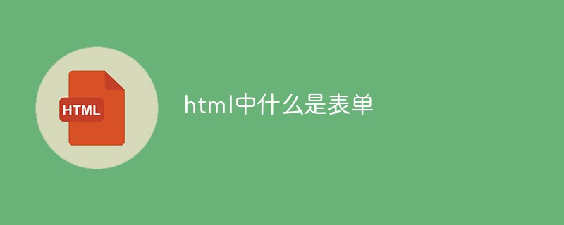 html中什么是表單