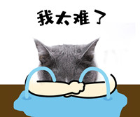 一元搶購IDCC2021大會門票！雙十一狂歡！限時秒殺！