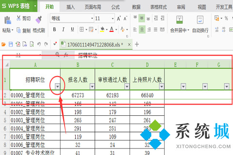wps篩選怎么操作步驟 wps篩選功能的使用方法介紹
