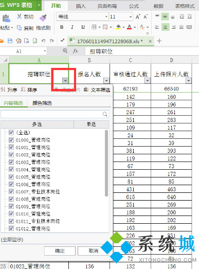 wps篩選怎么操作步驟 wps篩選功能的使用方法介紹