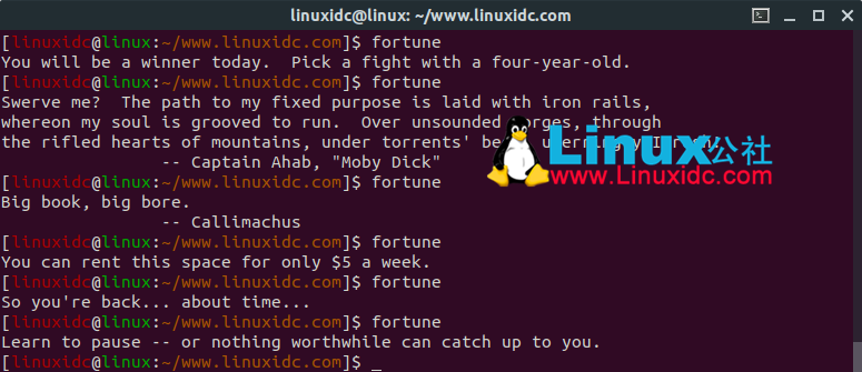 12個(gè)讓您震撼的Linux終端命令