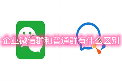 企業(yè)微信群和普通群有什么區(qū)別 企業(yè)微信群和普通群的區(qū)別介紹