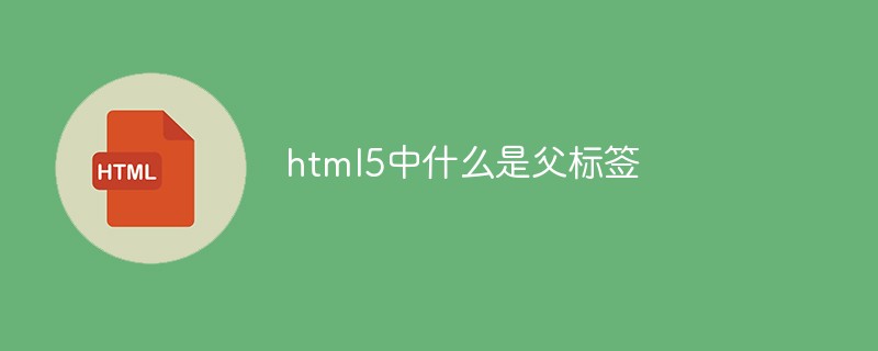 html5中什么是父標(biāo)簽
