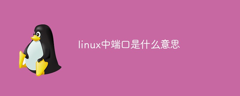 linux中端口是什么意思