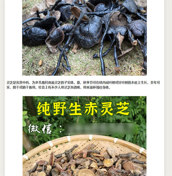 做網(wǎng)站，還是大有可為！