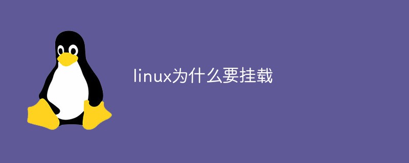 linux為什么要掛載