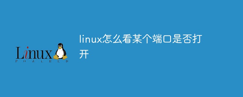 linux怎么看某個(gè)端口是否打開
