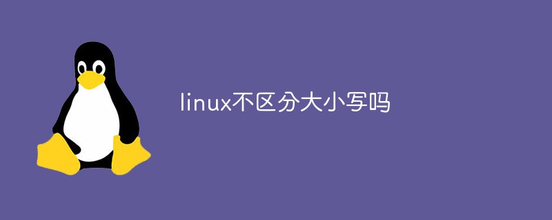 linux不區(qū)分大小寫(xiě)嗎