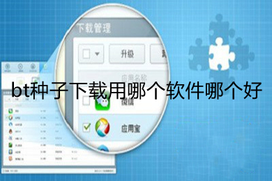 bt種子下載用哪個(gè)軟件哪個(gè)好 bt種子下載好用的軟件推薦