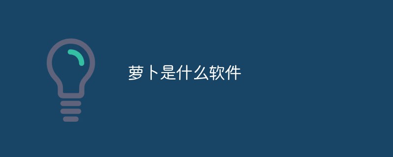 蘿卜是什么軟件