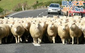 處理網(wǎng)頁圖片最常見的10個錯誤及解決方案