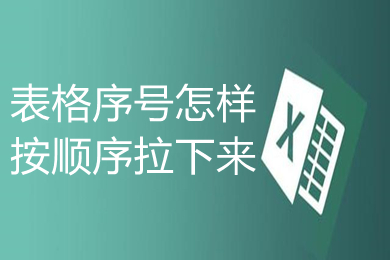 表格序號(hào)怎樣按順序拉下來(lái) 表格自動(dòng)排序123456的設(shè)置方法