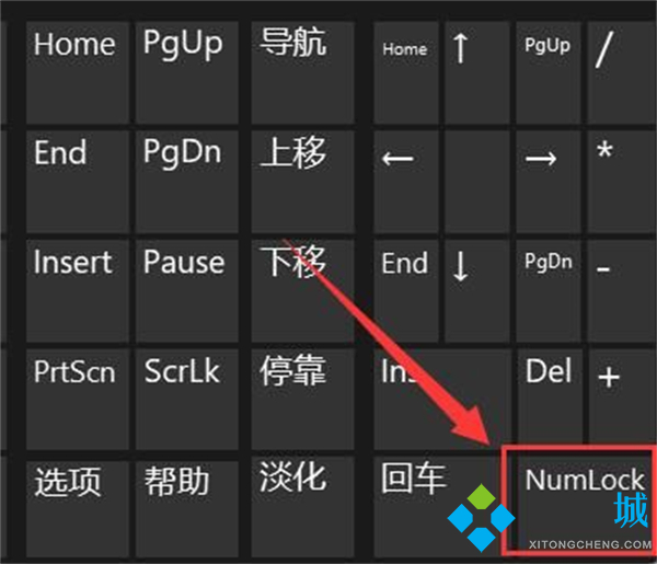 鍵盤(pán)打不了字按哪個(gè)鍵恢復(fù) 臺(tái)式電腦筆記本鍵盤(pán)恢復(fù)教程