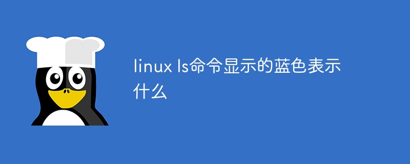 linux ls命令顯示的藍(lán)色表示什么