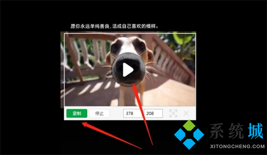 怎么把視頻轉(zhuǎn)換成gif動圖 怎么把視頻做成gif表情包