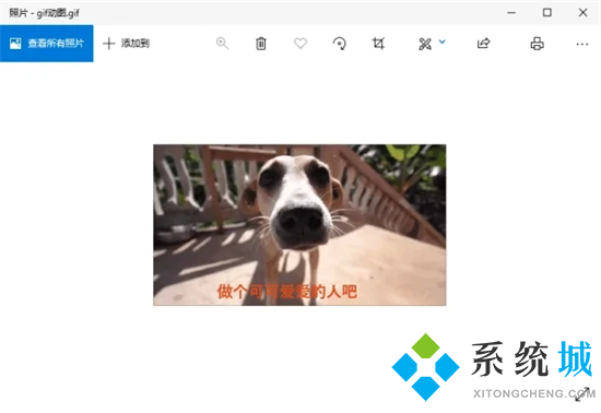 怎么把視頻轉(zhuǎn)換成gif動圖 怎么把視頻做成gif表情包