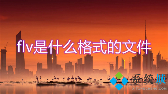flv是什么格式的文件 flv和mp4什么區(qū)別