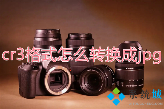 cr3格式怎么轉換成jpg cr3文件怎么批量轉jpg格式