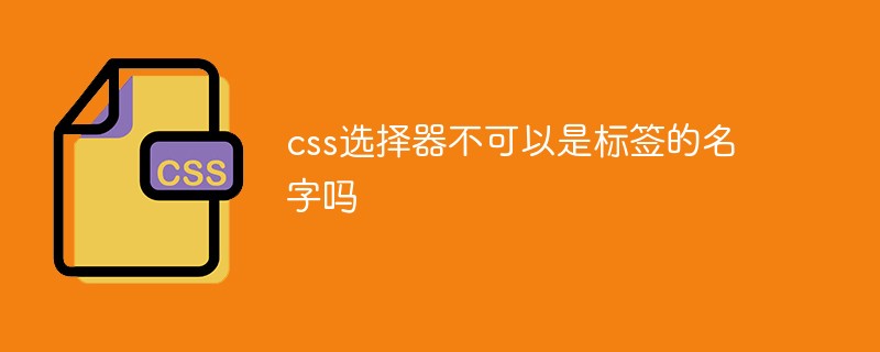 css選擇器不可以是標(biāo)簽的名字嗎